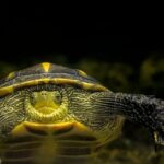 Strandliv på en bæredygtig måde med Katvigs strandtasker