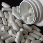 Elkærholm i billeder: Et fotogalleri fra hver årstid