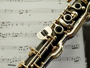 Fra begynder til professionel: Sådan mestrer du klarinetten og bliver en sand virtuos
