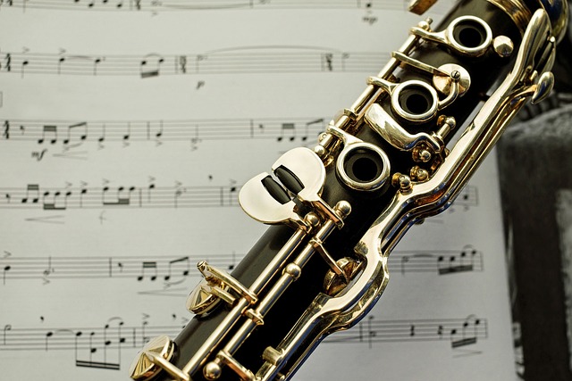Fra begynder til professionel: Sådan mestrer du klarinetten og bliver en sand virtuos